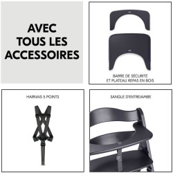 Chaise haute - HAUCK - BETA+ - Evolutive - De 6 mois a 90 kg - Bois FS