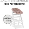 Transat - HAUCK - ALPHA BOUNCER 2-en-1 - Des la naissance - Harnais 3