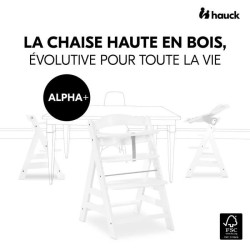 Chaise haute - HAUCK - ALPHA+B - Evolutive - De 6 mois a 90 kg - Bois