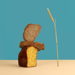 Machine a pain HKoeNIG - BAKE340 - 12 programmes - 3 niveaux de cuisso