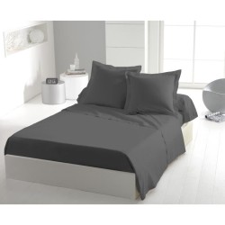 Drap plat - HOME LINGE PASSION - Microfibre 82 g - 240 x 300 cm - Anth