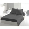 Drap plat - HOME LINGE PASSION - Microfibre 82 g - 240 x 300 cm - Anth