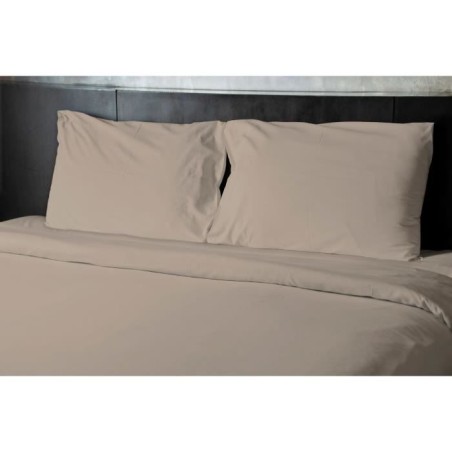 Lot de 2 taies d'oreiller - HOME LINGE PASSION - HP72091 - Microfibre 82 g - 50 x 70 cm - Beige