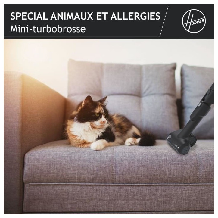 Aspirateur Traineau avec Sac - HOOVER - HE530ALG - 700 W - 4 L - 65 dBA - Spécial animaux et allergies Aspirateur Traineau avec Sac - HOOVER - HE530ALG - 700 W - 4 L - 65 dBA - Spécial animaux et allergies