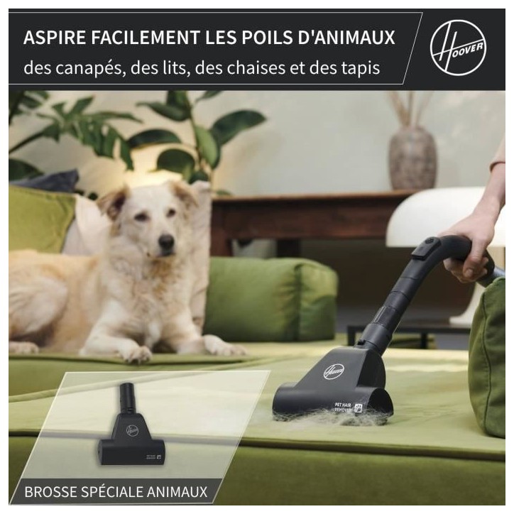 HOOVER HE1 - Aspirateur Traineau avec sac Compact et Puissant - Grande Capacité 2,5L- Haute-performance sur Sols Durs et Moquet HOOVER HE1 - Aspirateur Traineau avec sac Compact et Puissant - Grande Capacité 2,5L- Haute-performance sur Sols Durs et Moquet