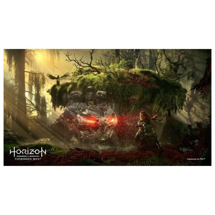 Horizon: Forbidden West Jeu PS4 (Mise a niveau PS5 disponible) Horizon: Forbidden West Jeu PS4 (Mise a niveau PS5 disponible)