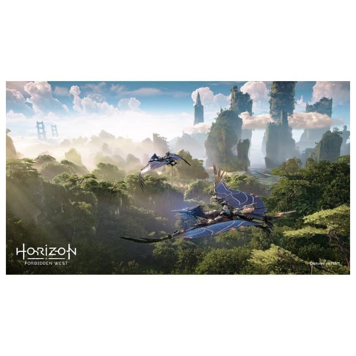 Horizon: Forbidden West Jeu PS4 (Mise a niveau PS5 disponible) Horizon: Forbidden West Jeu PS4 (Mise a niveau PS5 disponible)