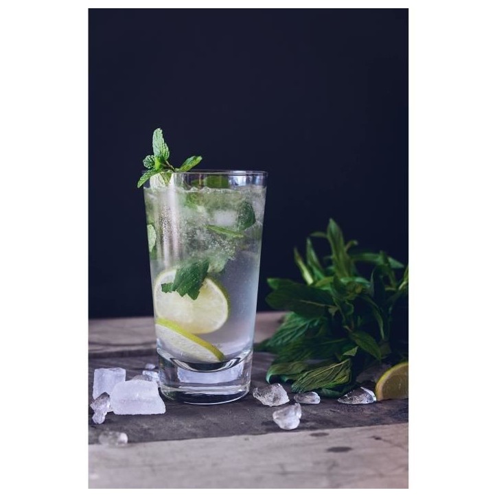 Mojito Cuerpo 3L Bib 15°