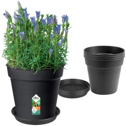 ELHO Lot de 5 pots de fleur de culture avec soucoupe Green Basics -