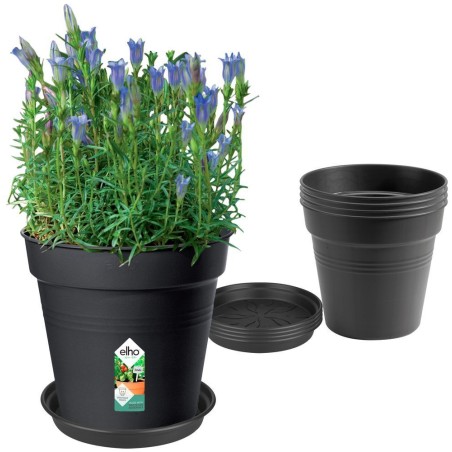 ELHO Lot de 5 pots de fleur de culture avec soucoupe Green Basics -