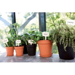 ELHO Lot de 5 pots de fleur de culture avec soucoupe Green Basics -