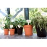 ELHO Lot de 5 pots de fleur de culture avec soucoupe Green Basics -