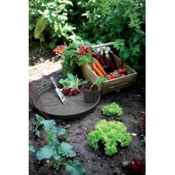 ELHO Lot de 5 pots de fleur de culture avec soucoupe Green Basics -