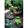ELHO Lot de 5 pots de fleur de culture avec soucoupe Green Basics -