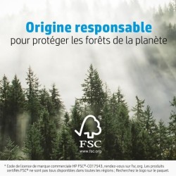 Papier photo glacé HP Avancée - 250 g/m2 - 4 x 12 pouces - 10 feuill