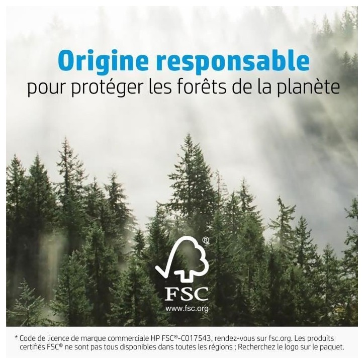 Papier photo glacé HP Avancée - 250 g/m2 - 4 x 12 pouces - 10 feuilles Papier photo glacé HP Avancée - 250 g/m2 - 4 x 12 pouces - 10 feuilles