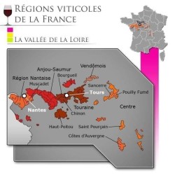 Château Haute Cariziere Muscadet Sevre et Maine - Vin blanc de Loire