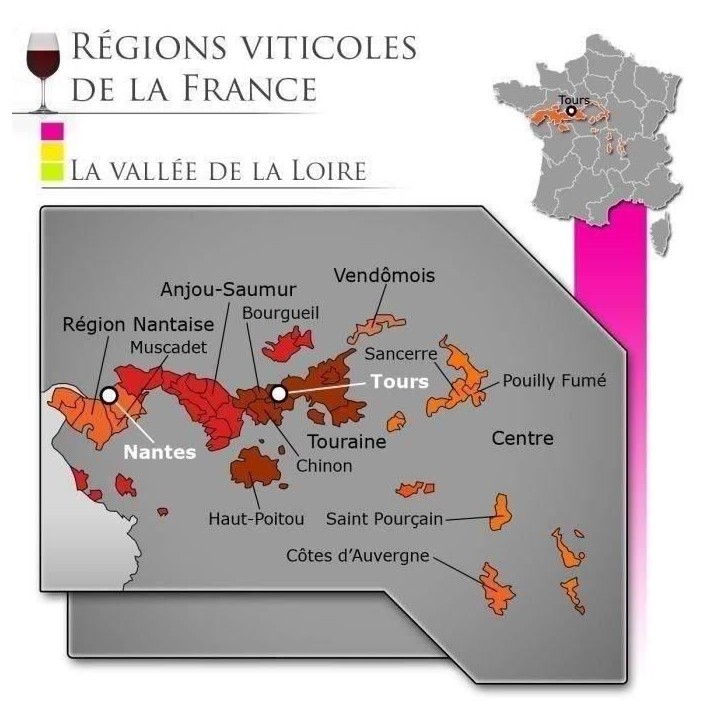 Château Haute Cariziere Muscadet Sevre et Maine - Vin blanc de Loire 2021