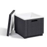 Keter Glaciere Ice Cube Graphite 405981