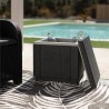 Keter Glaciere Ice Cube Graphite 405981