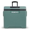 Glaciere électrique - IGLOO - 12 V - 230 V - Spruce - 42 L