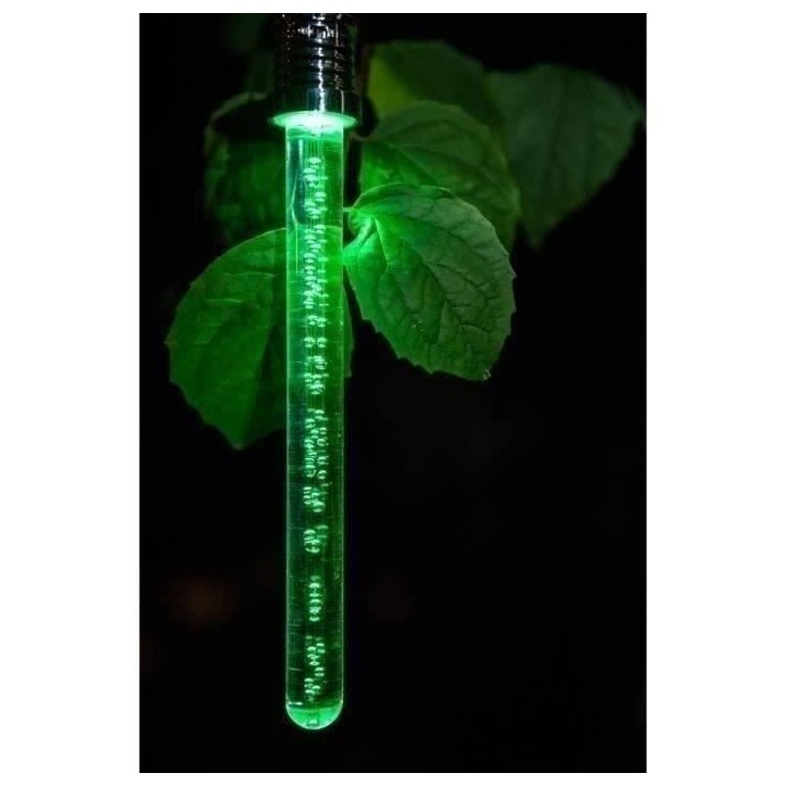 Lanterne Bâton Solaire - GARDEN ID Cristal - 22 cm - Couleur changeante - Autonomie 6-8h - Pile rechargeable.