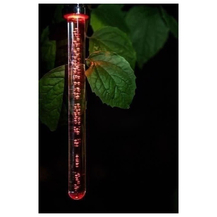 Lanterne Bâton Solaire - GARDEN ID Cristal - 22 cm - Couleur changeante - Autonomie 6-8h - Pile rechargeable.