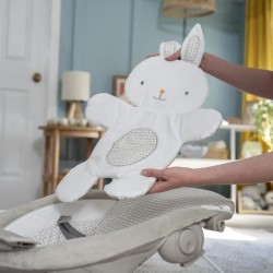INGENUITY Transat bébé confort Petit Lapin, Arche d'éveil lumineuse