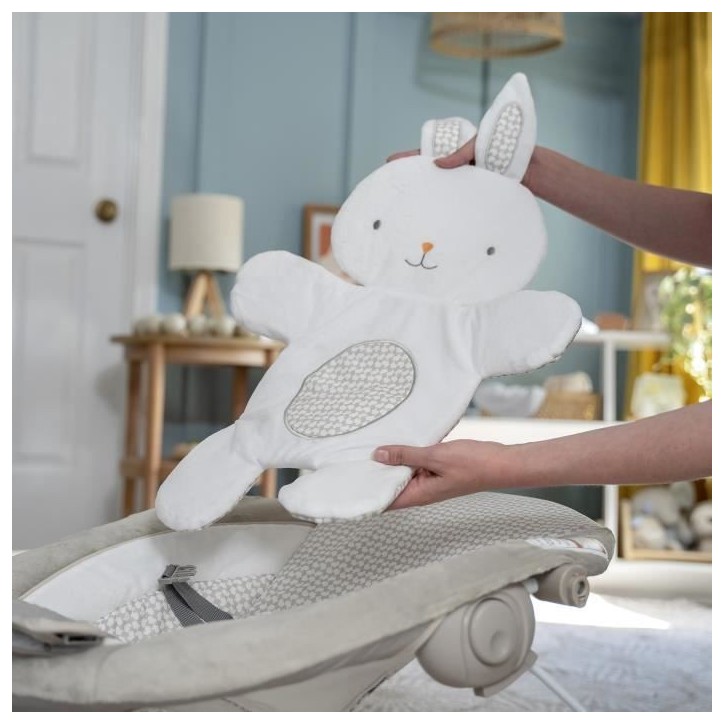 INGENUITY Transat bébé confort Petit Lapin, Arche d'éveil lumineuse, Coussin réducteur amovible, Cadeau Noel bébé INGENUITY Transat bébé confort Petit Lapin, Arche d'éveil lumineuse, Coussin réducteur amovible, Cadeau Noel bébé