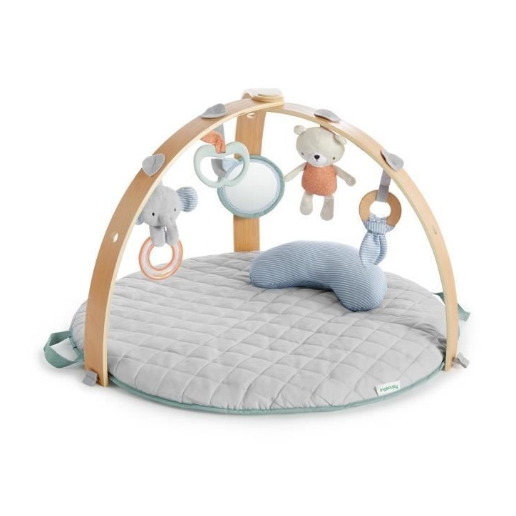 INGENUITY Tapis d'éveil réversible bébé évolutif - Loamy™ - pliable, arche de jeu en bois amovible, 5 jouets,Cadeau Noel