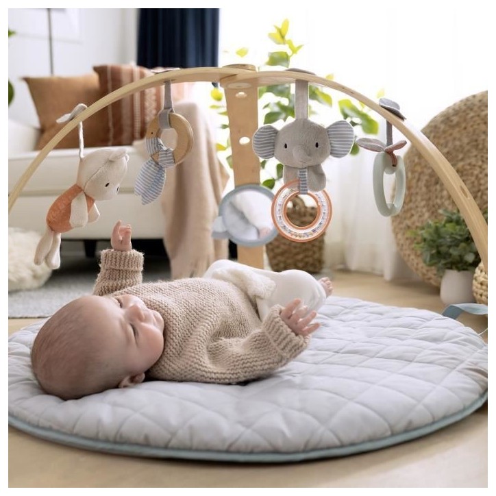 INGENUITY Tapis d'éveil réversible bébé évolutif - Loamy™ - pliable, arche de jeu en bois amovible, 5 jouets,Cadeau Noel