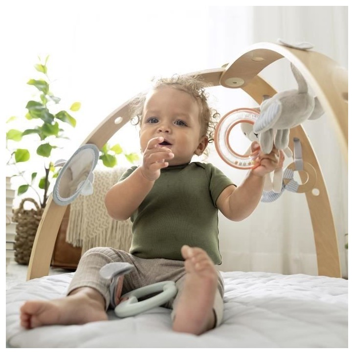 INGENUITY Tapis d'éveil réversible bébé évolutif - Loamy™ - pliable, arche de jeu en bois amovible, 5 jouets,Cadeau Noel