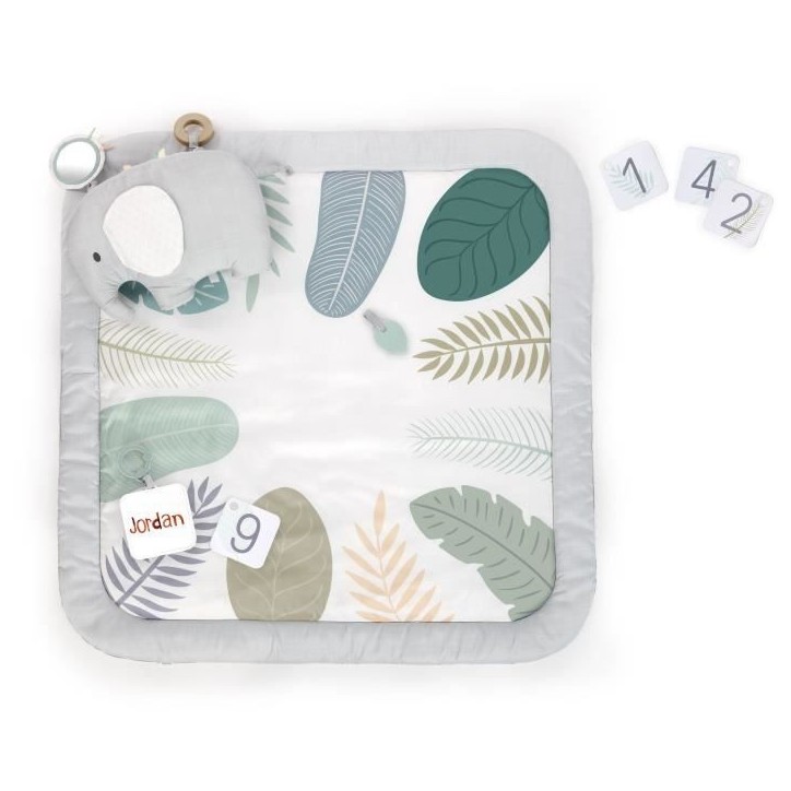 INGENUITY Tapis d'éveil bébé tout confort Petit Eléphant, 12 cartes étapes mensuelles et tableau personnalisable, Cadeau No INGENUITY Tapis d'éveil bébé tout confort Petit Eléphant, 12 cartes étapes mensuelles et tableau personnalisable, Cadeau No