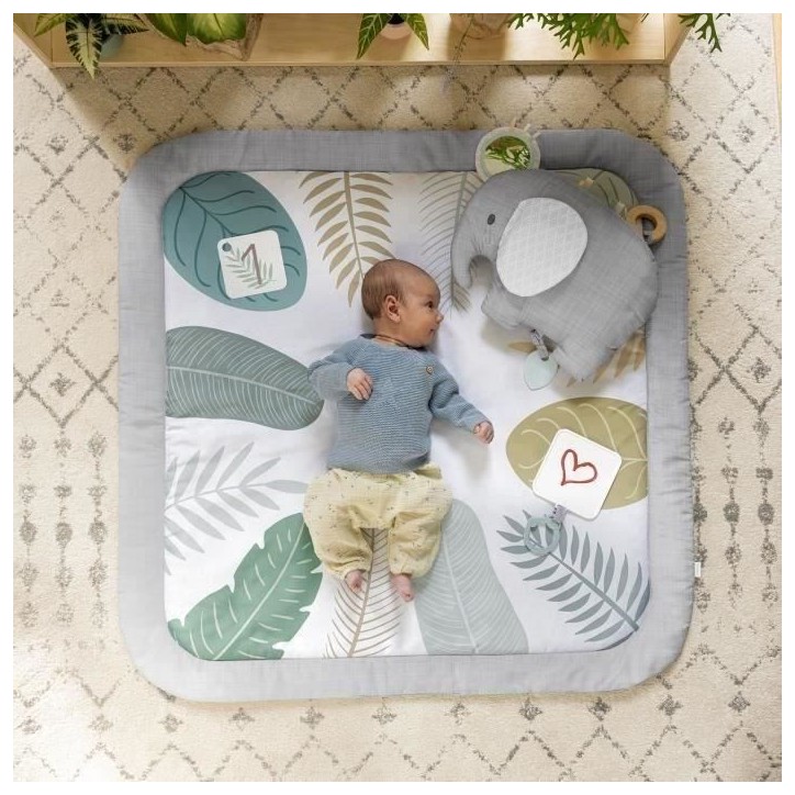 INGENUITY Tapis d'éveil bébé tout confort Petit Eléphant, 12 cartes étapes mensuelles et tableau personnalisable, Cadeau No INGENUITY Tapis d'éveil bébé tout confort Petit Eléphant, 12 cartes étapes mensuelles et tableau personnalisable, Cadeau No