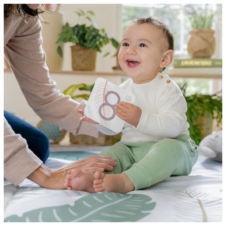 INGENUITY Tapis d'éveil bébé tout confort Petit Eléphant, 12 cartes étapes mensuelles et tableau personnalisable, Cadeau No INGENUITY Tapis d'éveil bébé tout confort Petit Eléphant, 12 cartes étapes mensuelles et tableau personnalisable, Cadeau No