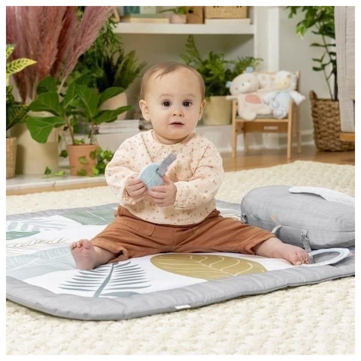 INGENUITY Tapis d'éveil bébé tout confort Petit Eléphant, 12 cartes étapes mensuelles et tableau personnalisable, Cadeau No INGENUITY Tapis d'éveil bébé tout confort Petit Eléphant, 12 cartes étapes mensuelles et tableau personnalisable, Cadeau No