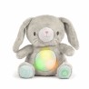 INGENUITY Doudou bébé lapin Sylvi, peluche, mélodies et vibrations
