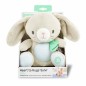 INGENUITY Doudou bébé lapin Sylvi, peluche, mélodies et vibrations apaisantes, lumineux, cadeau noel bébé