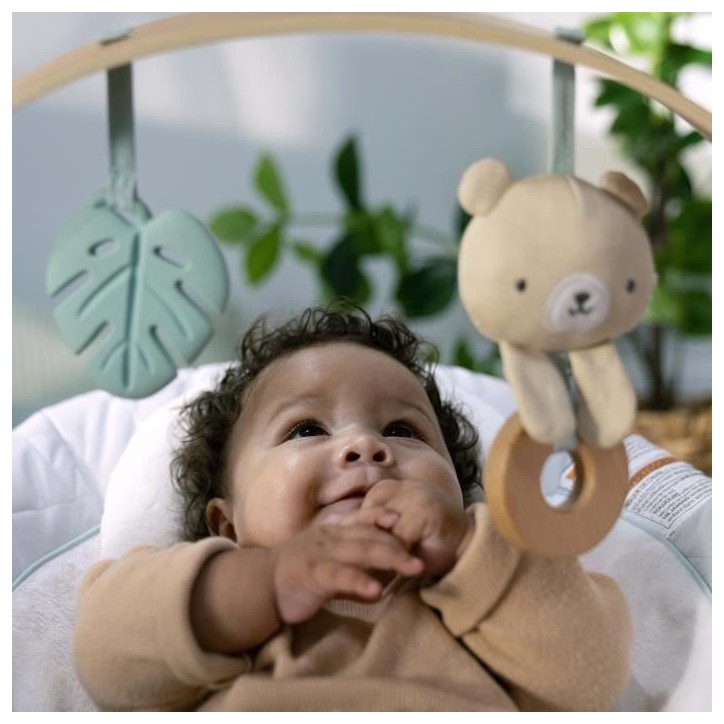 INGENUITY Transat bébé Nate l'Ourson avec arche d'éveil en bois, Cadeau Noel bébé INGENUITY Transat bébé Nate l'Ourson avec arche d'éveil en bois, Cadeau Noel bébé