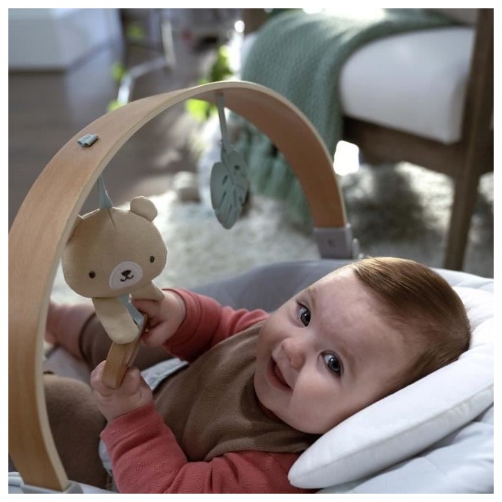 INGENUITY Transat bébé Nate l'Ourson avec arche d'éveil en bois, Cadeau Noel bébé INGENUITY Transat bébé Nate l'Ourson avec arche d'éveil en bois, Cadeau Noel bébé