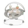 INGENUITY Transat bébé confort Petit Ourson, Arche d'éveil lumineus