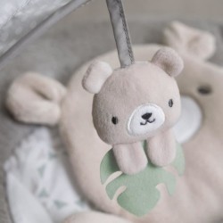 INGENUITY Transat bébé confort Petit Ourson, Arche d'éveil lumineus