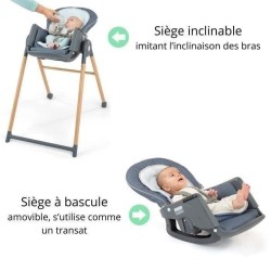INGENUITY Chaise haute 7 en 1 de la naissance jusqu'a 5 ans Proper Pos