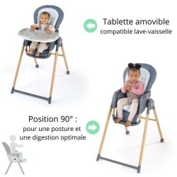 INGENUITY Chaise haute 7 en 1 de la naissance jusqu'a 5 ans Proper Pos