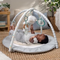 INGENUITY Tapis d'éveil bébé évolutif - Petit Mouton - Arche de je