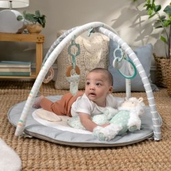 INGENUITY Tapis d'éveil bébé évolutif - Petit Mouton - Arche de je
