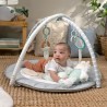 INGENUITY Tapis d'éveil bébé évolutif - Petit Mouton - Arche de je