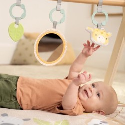 INGENUITY Tapis d'éveil bébé pliable WonderWood, rond avec arche de