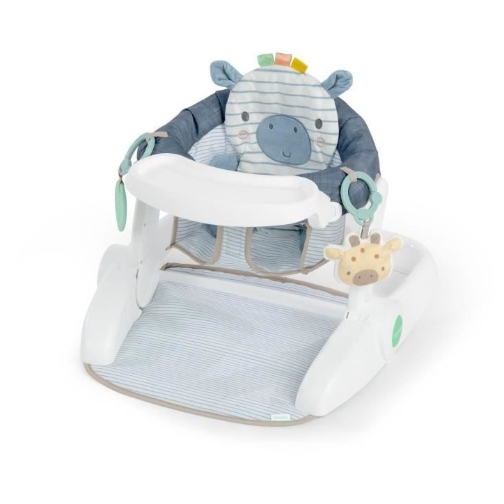 INGENUITY Casi le zebre, Siege bébé d'apprentissage - apporte support a bébé, Cadeau Noel bébé INGENUITY Casi le zebre, Siege bébé d'apprentissage - apporte support a bébé, Cadeau Noel bébé