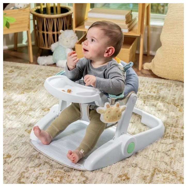 INGENUITY Casi le zebre, Siege bébé d'apprentissage - apporte support a bébé, Cadeau Noel bébé INGENUITY Casi le zebre, Siege bébé d'apprentissage - apporte support a bébé, Cadeau Noel bébé